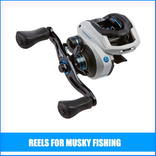 Best Reels For Musky Fishing