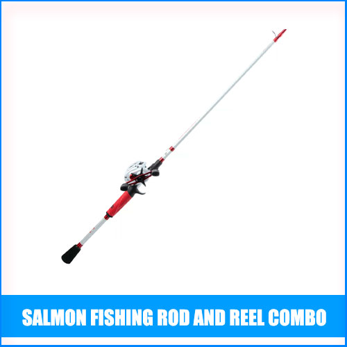 Read more about the article Best Salmon Fishing Rod And Reel Combo