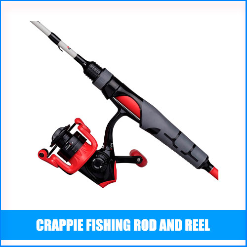 Best Crappie Fishing Rod And Reel