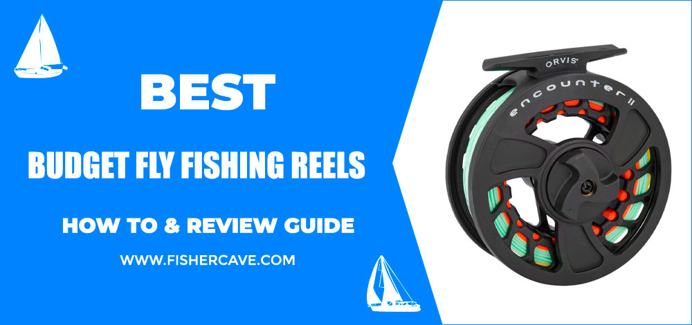 Best Budget Fly Fishing Reels