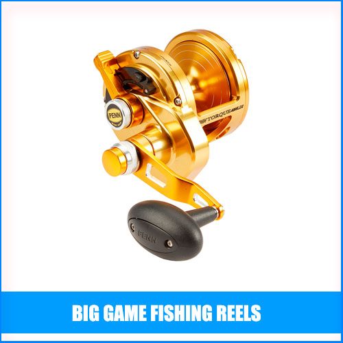 Read more about the article Best Big Game Fishing Reels