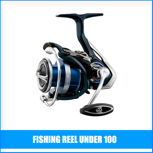 Best Fishing Reel Under 100