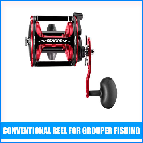 Read more about the article Best Conventional Reel For Grouper Fishing