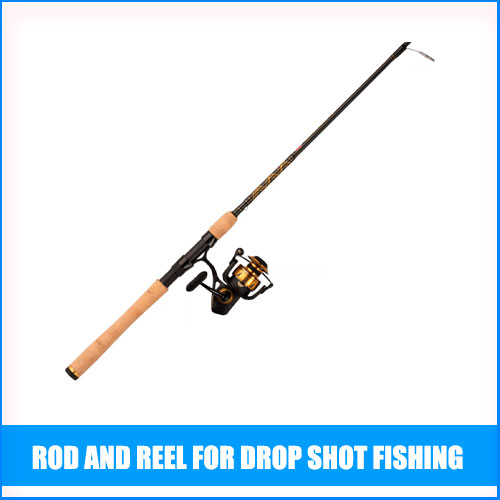 Read more about the article Best Rod And Reel For Drop Shot Fishing