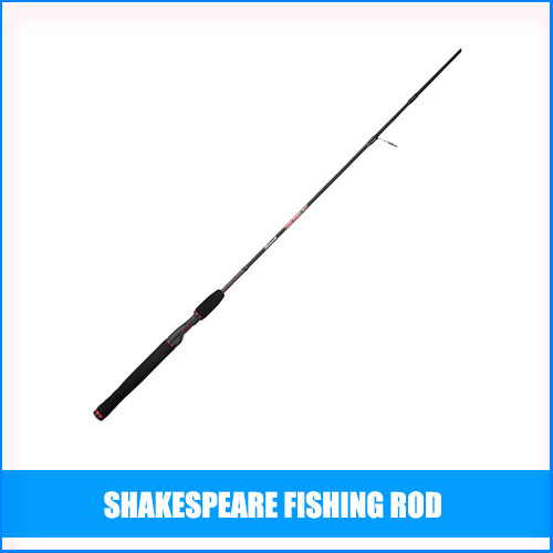 Best Shakespeare Fishing Rod