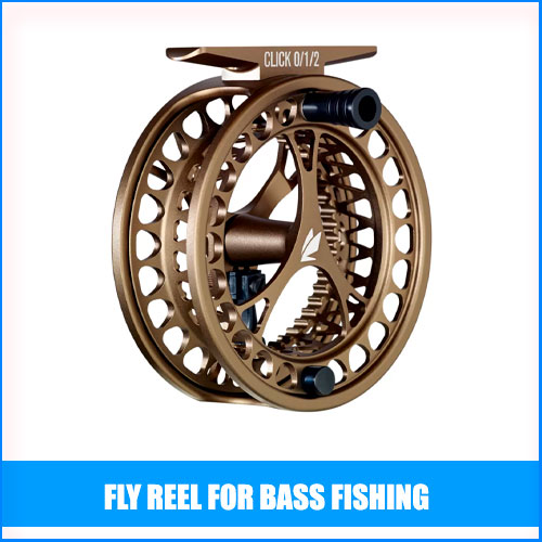 Read more about the article Best Fly Reel For Bass Fishing