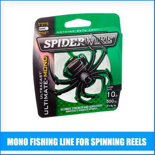 Read more about the article Best Mono Fishing Line For Spinning Reels