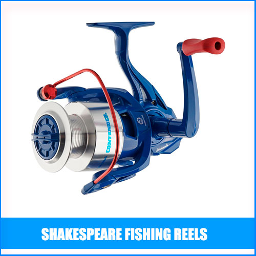 Read more about the article Best Shakespeare Fishing Reels