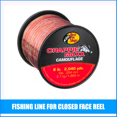 Read more about the article Best Fishing Line For Closed Face Reel